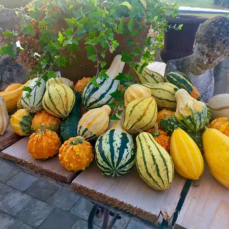 Couette-café Chic A La Closerie Durbuy