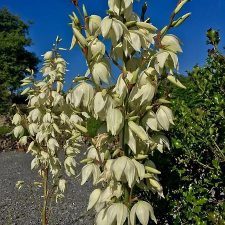 Chic A La Closerie * Durbuy