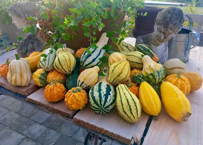 Nocleg ze śniadaniem Chic A La Closerie Durbuy