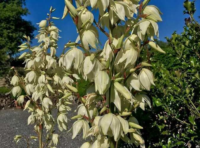 Chic A La Closerie * Durbuy